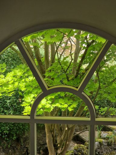 View of a lush green tree through an arched window frame.