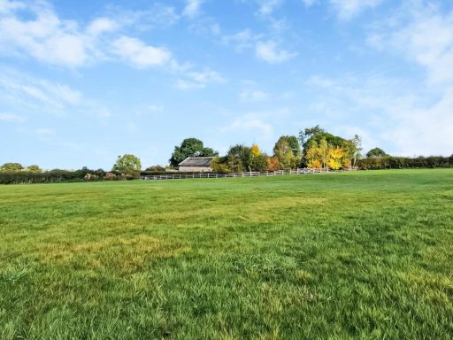 Lush green field with trees and a house in the background under a blue sky.