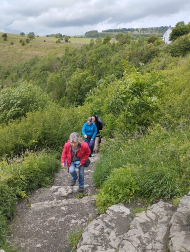 Three people climb a stone path surrounded by lush greenery and hills.