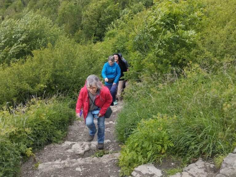 Walks and Spanish learning holidays in the Peak District