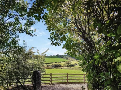 View of a lush green landscape framed by trees and a wooden fence in the foreground.