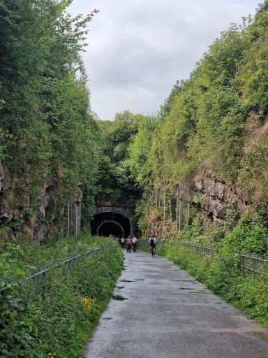 A narrow path flanked by rocky walls, leading to a dark tunnel, surrounded by greenery.