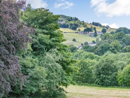 Lush green landscape with rolling hills and trees under a cloudy sky.